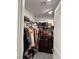 Large walk-in closet with ample storage space and shelving at 10411 Rose Palisade St, Las Vegas, NV 89141