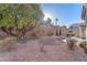 Expansive backyard with desert landscaping, mature trees, and a retaining wall for privacy at 10725 Sky Meadows Ave, Las Vegas, NV 89134