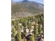 Aerial view of a cabin nestled in a mountain forest at 4187 Matterhorn Way, Mount Charleston, NV 89124