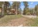 Log cabin with a large yard, surrounded by trees and mountain views at 4187 Matterhorn Way, Mount Charleston, NV 89124