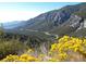 Scenic mountain view with winding road and yellow flowers at 4187 Matterhorn Way, Mount Charleston, NV 89124