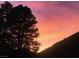 Silhouetted trees against a breathtaking sunset with warm, pinkish-orange colors at 4187 Matterhorn Way, Mount Charleston, NV 89124