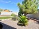 Landscaped backyard with gravel, grass, and a variety of plants at 4210 Night Star St, Las Vegas, NV 89147