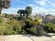 Landscaped backyard with flowers and plants at 1715 Mesquite Ct, Henderson, NV 89014