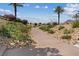 Landscaped walkway with desert plants and palm trees at 20 Via Mantova # 309, Henderson, NV 89011