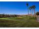 Landscaped golf course with palm trees and mountain views at 272 Arbour Garden Ave, Las Vegas, NV 89148