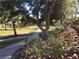 Landscaped walkway with mature trees and desert plants at 9612 World Cup Dr, Las Vegas, NV 89117