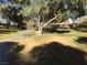 Pathway winds through a park with lush grass and trees at 9612 World Cup Dr, Las Vegas, NV 89117