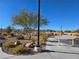 Landscaped pathway in Cougar Creek Park with desert plants at 6538 Creekside Cellars Ct, Las Vegas, NV 89139
