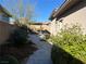 Landscaped backyard with a stone pathway and lush greenery at 12422 Tudor Arch Dr, Las Vegas, NV 89138