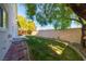 Landscaped backyard with grassy area and mature tree at 4654 Stuttgart St, Las Vegas, NV 89147