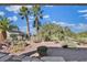 Landscaped backyard oasis with desert plants and palm trees at 1647 Fieldbrook St, Henderson, NV 89052