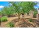 Backyard with gravel, a tree, and desert landscaping at 3792 Nerine Pass Way Ave, North Las Vegas, NV 89031