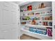 Well-organized pantry with ample shelving for food storage at 3792 Nerine Pass Way Ave, North Las Vegas, NV 89031