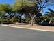 Scenic street view with mature trees, manicured landscaping, and a peaceful atmosphere at 312 N Royal Ascot Dr, Las Vegas, NV 89144