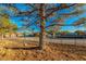 Farm yard with tree, swing, and various stables in background at 5353 Dorrell Ln, Las Vegas, NV 89131