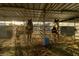 Two horses in a stable with individual stalls at 5353 Dorrell Ln, Las Vegas, NV 89131