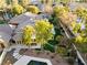 Aerial view showcasing house and lush backyard landscape at 2228 Lucerne Ct, Henderson, NV 89014