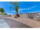 Backyard with gravel, mature tree, and block wall at 6252 Fairwood Ave, Las Vegas, NV 89107