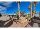 Backyard with multiple palm trees and gravel at 132 Continental Ave, Henderson, NV 89015