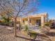 Landscaped backyard with desert plants and covered patio at 1803 Eagle Village Ave, Henderson, NV 89012