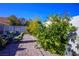 Landscaped backyard with a seating area and citrus trees at 8772 Rio Grande Falls Ave, Las Vegas, NV 89178