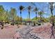 Landscaped pool area with palm trees and desert landscaping at 10509 India Hawthorn Ave, Las Vegas, NV 89144