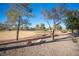 Landscaped backyard with golf course view at 2541 Showcase Dr, Las Vegas, NV 89134