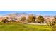 Community overview showcasing homes with mountain backdrop at 2589 Sumter St, Henderson, NV 89052