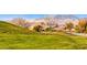 Landscaped green space with houses and mountain views at 2589 Sumter St, Henderson, NV 89052