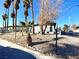 Ranch style home with a fenced yard and mature palm trees at 99 N 21St St, Las Vegas, NV 89101