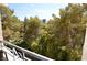 View of lush green trees from a balcony at 230 E Flamingo Rd # 334, Las Vegas, NV 89169