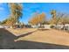 Large backyard with mature trees and plenty of space at 4840 Conough Ln, Las Vegas, NV 89149