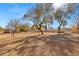 Large backyard area with mature trees and open space at 4840 Conough Ln, Las Vegas, NV 89149