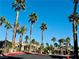 Exterior view of apartment community with palm trees and gated entrance at 8250 N Grand Canyon Dr # 1105, Las Vegas, NV 89166