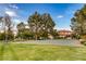 Community basketball court nestled amongst green lawns at 1616 Villa Rica Dr, Henderson, NV 89052