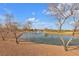 Beautiful pond in the golf course at 2101 Desert Woods Dr, Henderson, NV 89012