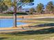 Scenic golf course view with pond and geese at 5130 Agio Ave, Pahrump, NV 89061