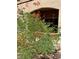 Vibrant flowers and green plants add curb appeal at 5751 E Hacienda Ave # 114, Las Vegas, NV 89122