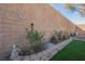 Landscaped garden with roses and other plants along a block wall at 493 Lace Haven Ct, Henderson, NV 89012