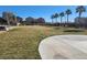 Spacious grassy park with a paved circular sitting area and palm trees at 5089 Sagelyn St, Las Vegas, NV 89122