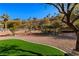 Landscaped backyard with artificial turf and desert plants at 526 Highland View Ct, Mesquite, NV 89027