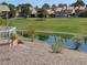 Scenic backyard view with a large green lawn, tranquil pond, and houses in the background at 7943 Harbour Towne Ave, Las Vegas, NV 89113