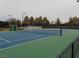 Well-maintained tennis court with new blue and green surface and professional net system at 7943 Harbour Towne Ave, Las Vegas, NV 89113
