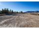 Large, flat backyard with mountain views at 3960 Dart Dr, Pahrump, NV 89060