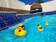 Solar powered ducks in a refreshing blue swimming pool at 9366 W Viking Rd, Las Vegas, NV 89147