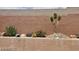 Backyard with a desert landscape featuring drought-tolerant plants along the elevated retaining wall at 7129 Flora Lam St, Las Vegas, NV 89166