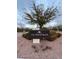 The Promenade community entrance sign with landscaping at 7129 Flora Lam St, Las Vegas, NV 89166