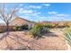 Landscaped backyard with drought-tolerant plants and gravel at 10240 Clark Wooldridge Ct, Las Vegas, NV 89129