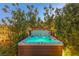 Inviting hot tub surrounded by lush greenery, creating a serene and private oasis at 11015 Sanctuary Cove Ct, Las Vegas, NV 89135